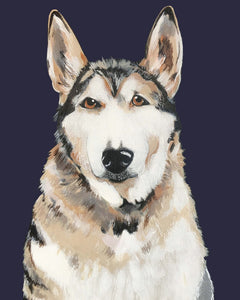 Bim the Husky