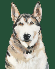 Load image into Gallery viewer, Bim the Husky
