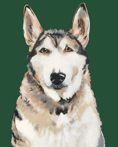 Bim the Husky