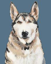 Load image into Gallery viewer, Bim the Husky