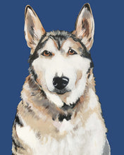 Load image into Gallery viewer, Bim the Husky