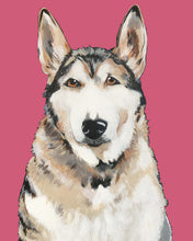 Load image into Gallery viewer, Bim the Husky