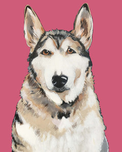 Bim the Husky