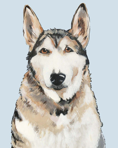 Bim the Husky