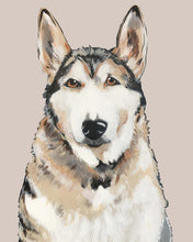 Load image into Gallery viewer, Bim the Husky
