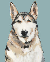 Load image into Gallery viewer, Bim the Husky