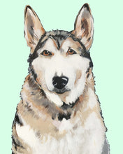 Load image into Gallery viewer, Bim the Husky