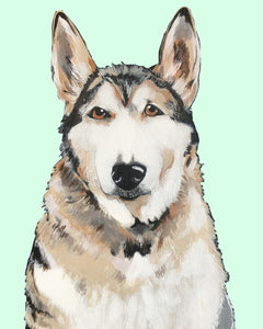 Bim the Husky
