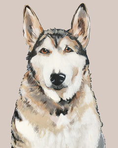 Bim the Husky