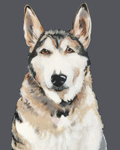 Load image into Gallery viewer, Bim the Husky