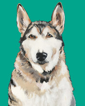 Load image into Gallery viewer, Bim the Husky