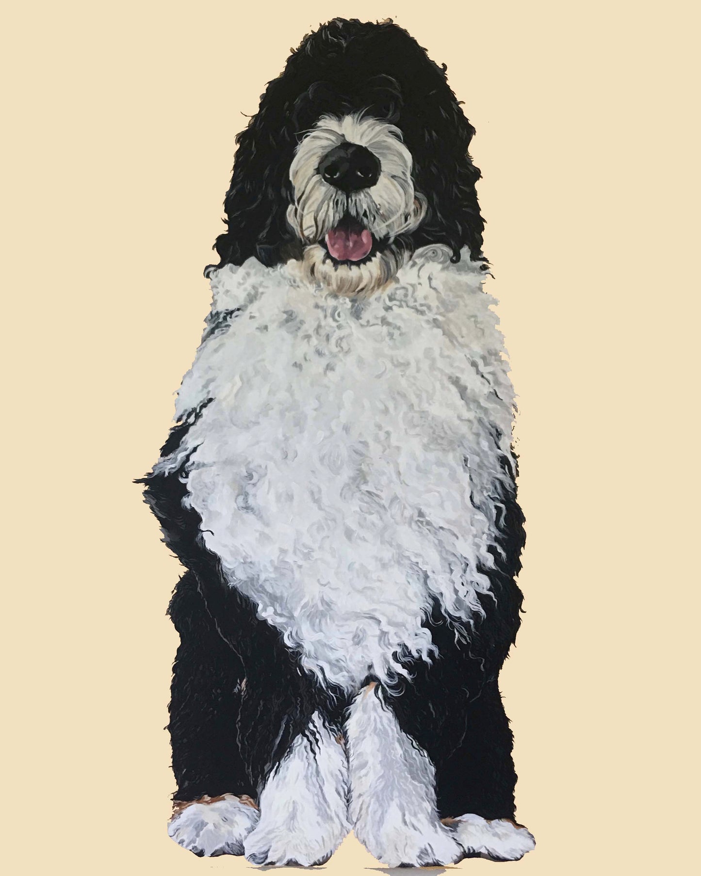 Bernie the Bernedoodle