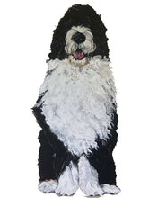 Load image into Gallery viewer, Bernie the Bernedoodle