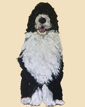 Load image into Gallery viewer, Bernie the Bernedoodle