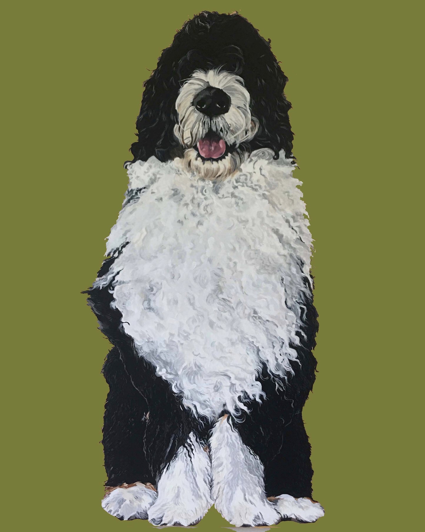 Bernie the Bernedoodle