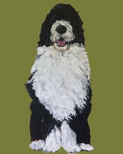 Load image into Gallery viewer, Bernie the Bernedoodle