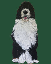 Load image into Gallery viewer, Bernie the Bernedoodle