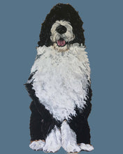 Load image into Gallery viewer, Bernie the Bernedoodle