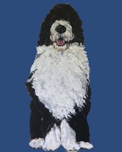 Load image into Gallery viewer, Bernie the Bernedoodle