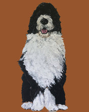 Load image into Gallery viewer, Bernie the Bernedoodle