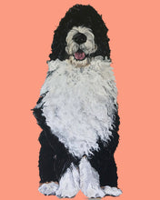 Load image into Gallery viewer, Bernie the Bernedoodle