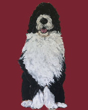 Load image into Gallery viewer, Bernie the Bernedoodle
