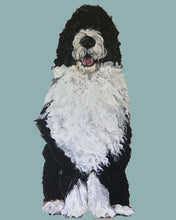 Load image into Gallery viewer, Bernie the Bernedoodle