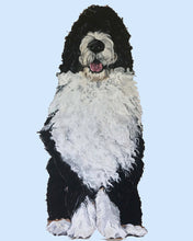 Load image into Gallery viewer, Bernie the Bernedoodle