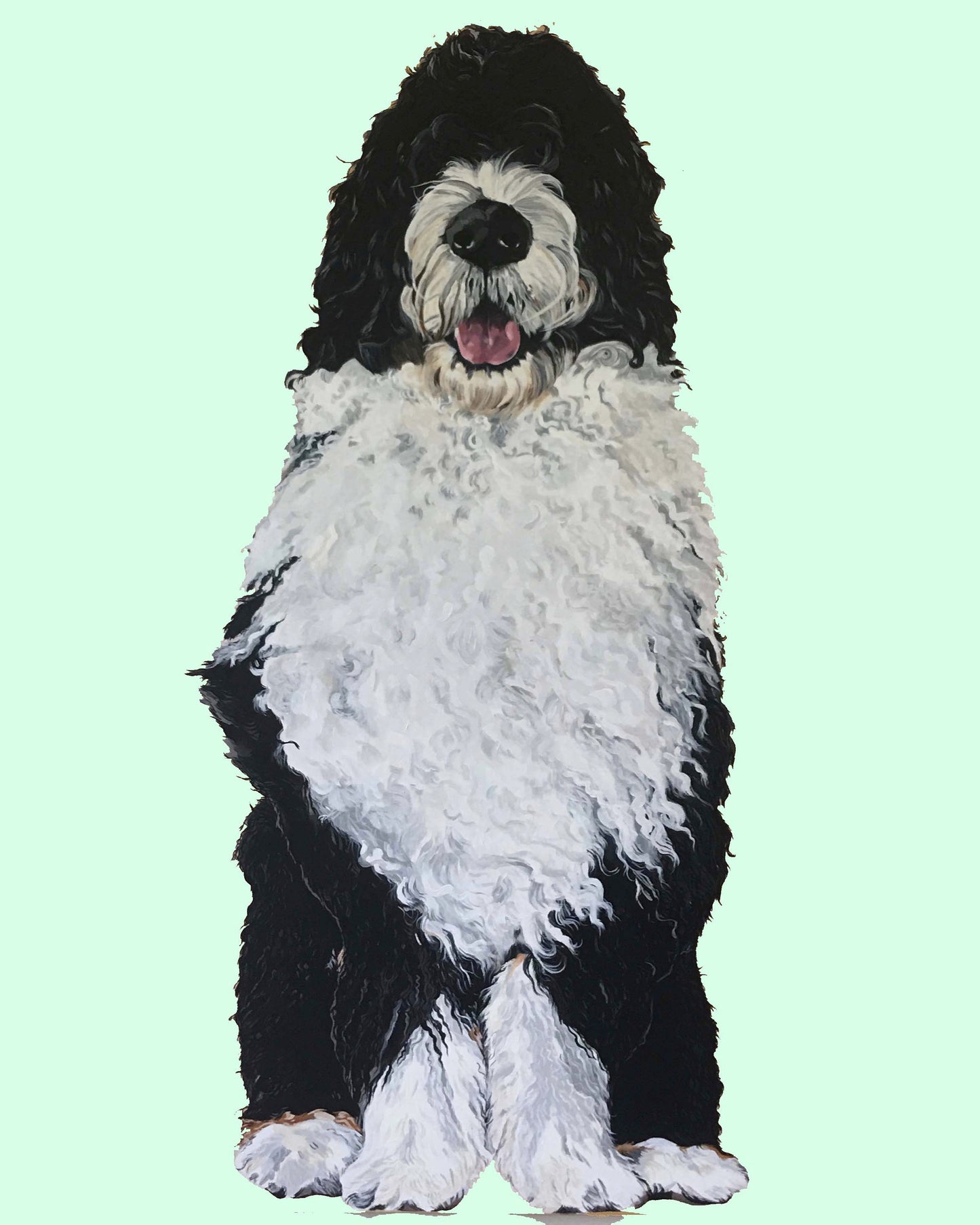 Bernie the Bernedoodle