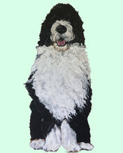Load image into Gallery viewer, Bernie the Bernedoodle