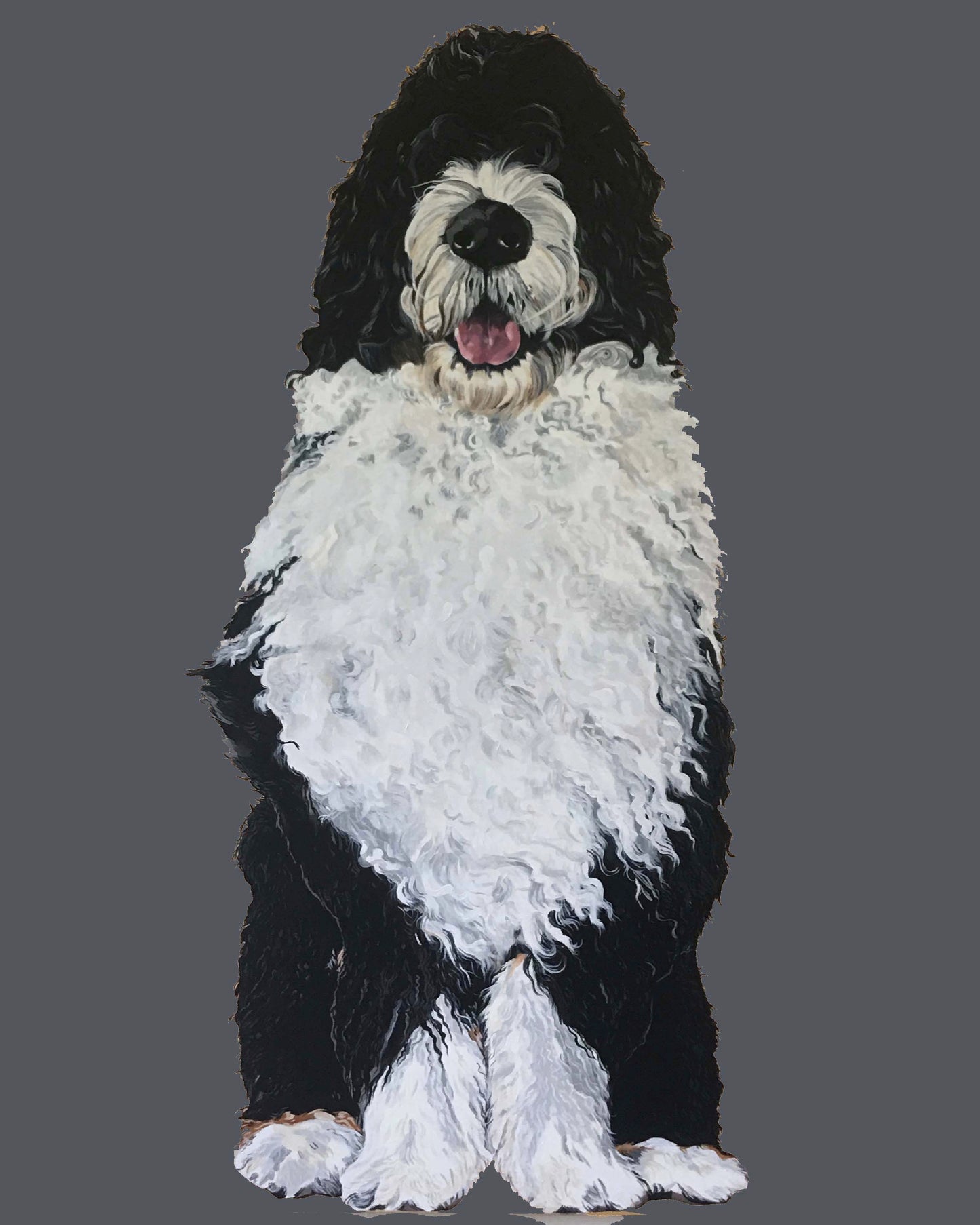 Bernie the Bernedoodle