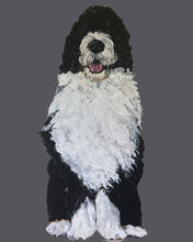 Load image into Gallery viewer, Bernie the Bernedoodle