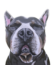 Load image into Gallery viewer, Phineas the Pitbull