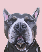 Load image into Gallery viewer, Phineas the Pitbull