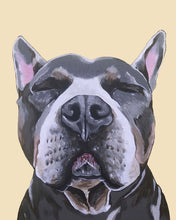 Load image into Gallery viewer, Phineas the Pitbull