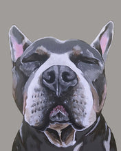 Load image into Gallery viewer, Phineas the Pitbull