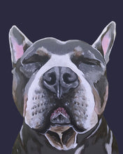 Load image into Gallery viewer, Phineas the Pitbull