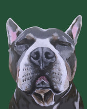 Load image into Gallery viewer, Phineas the Pitbull