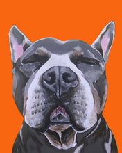 Load image into Gallery viewer, Phineas the Pitbull