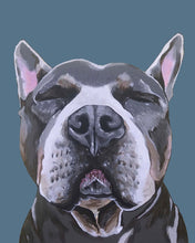 Load image into Gallery viewer, Phineas the Pitbull