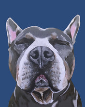 Load image into Gallery viewer, Phineas the Pitbull