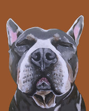Load image into Gallery viewer, Phineas the Pitbull