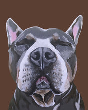 Load image into Gallery viewer, Phineas the Pitbull