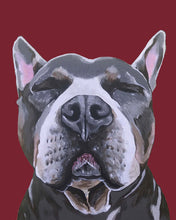 Load image into Gallery viewer, Phineas the Pitbull