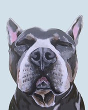 Load image into Gallery viewer, Phineas the Pitbull