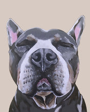 Load image into Gallery viewer, Phineas the Pitbull