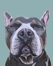 Load image into Gallery viewer, Phineas the Pitbull