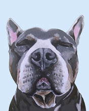 Load image into Gallery viewer, Phineas the Pitbull