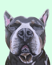 Load image into Gallery viewer, Phineas the Pitbull