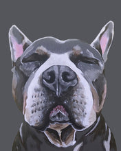 Load image into Gallery viewer, Phineas the Pitbull